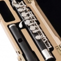 SPC711 inside case