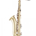 STS301 Tenor Saxophone