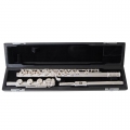 SFL511BO inside carrying case